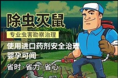 Sρxρṩ顢Λρ